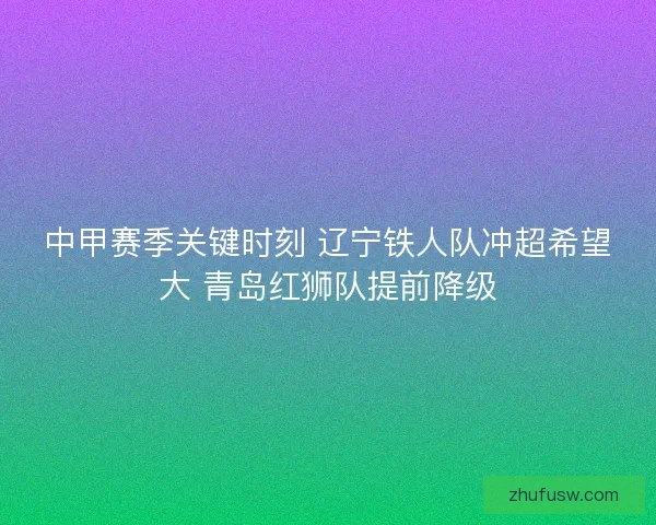 中甲赛季关键时刻 辽宁铁人队冲超希望大 青岛红狮队提前降级