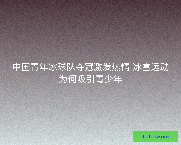 中国青年冰球队夺冠激发热情 冰雪运动为何吸引青少年